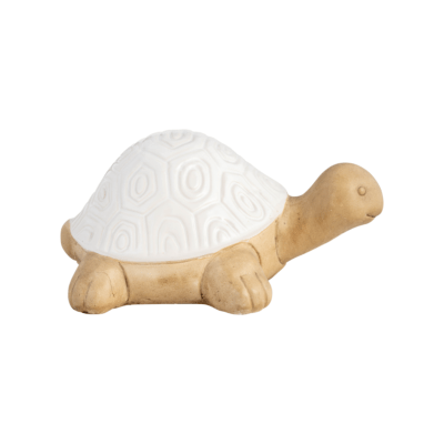 a close up of a turtle